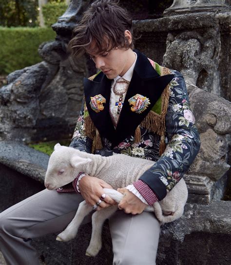 harry styles gucci photoshoot 2019|harry styles gucci wardrobe.